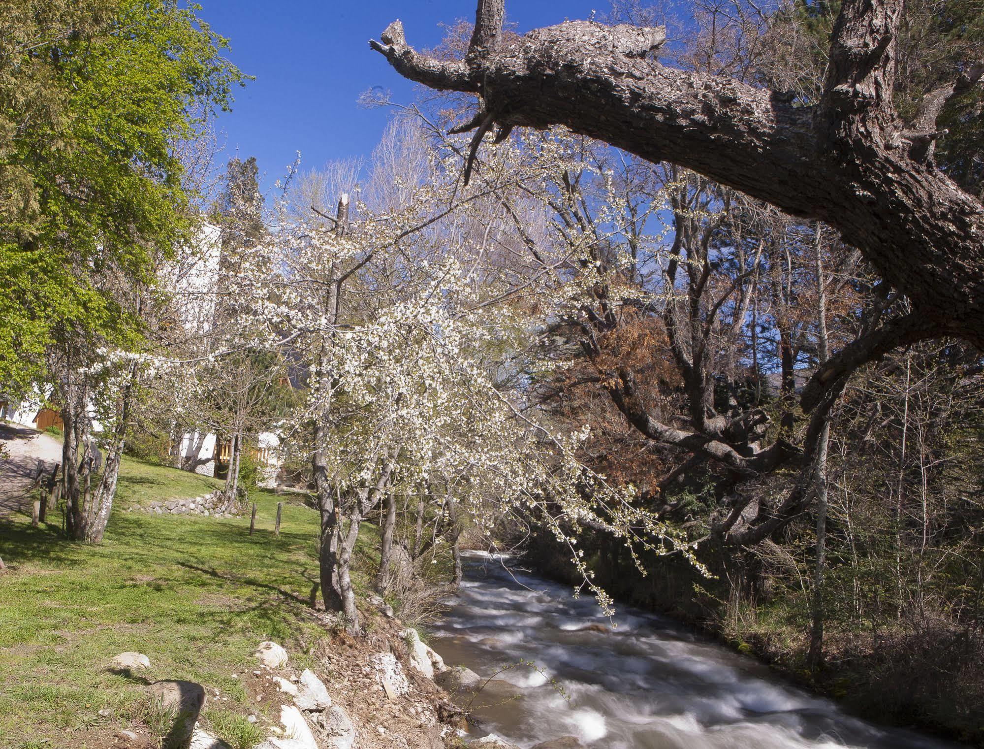 San Martín de los Andes Cabanas Rucaleufu מראה חיצוני תמונה