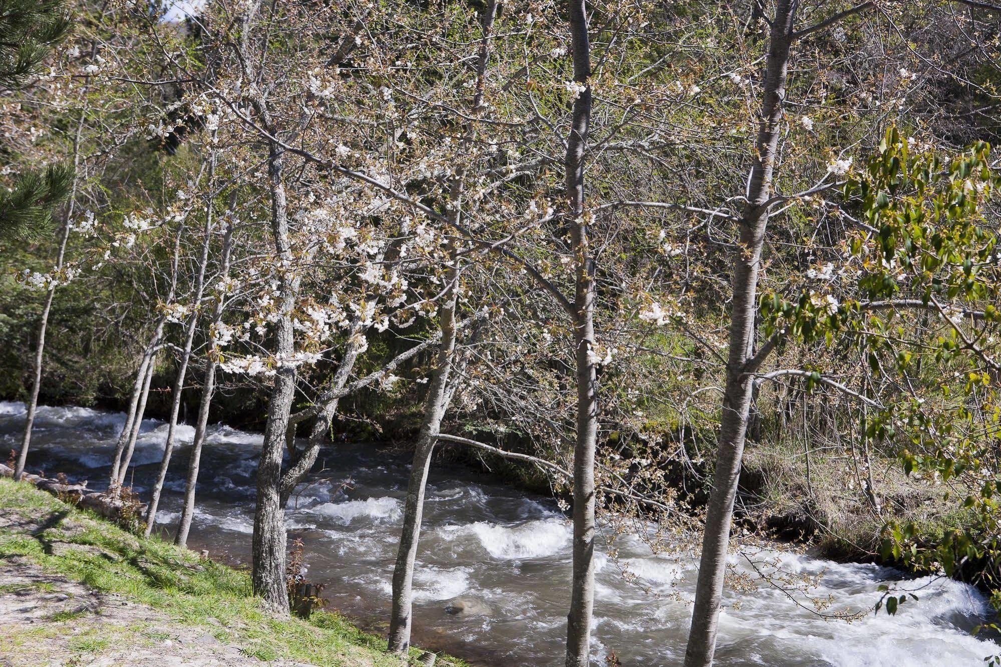 San Martín de los Andes Cabanas Rucaleufu מראה חיצוני תמונה