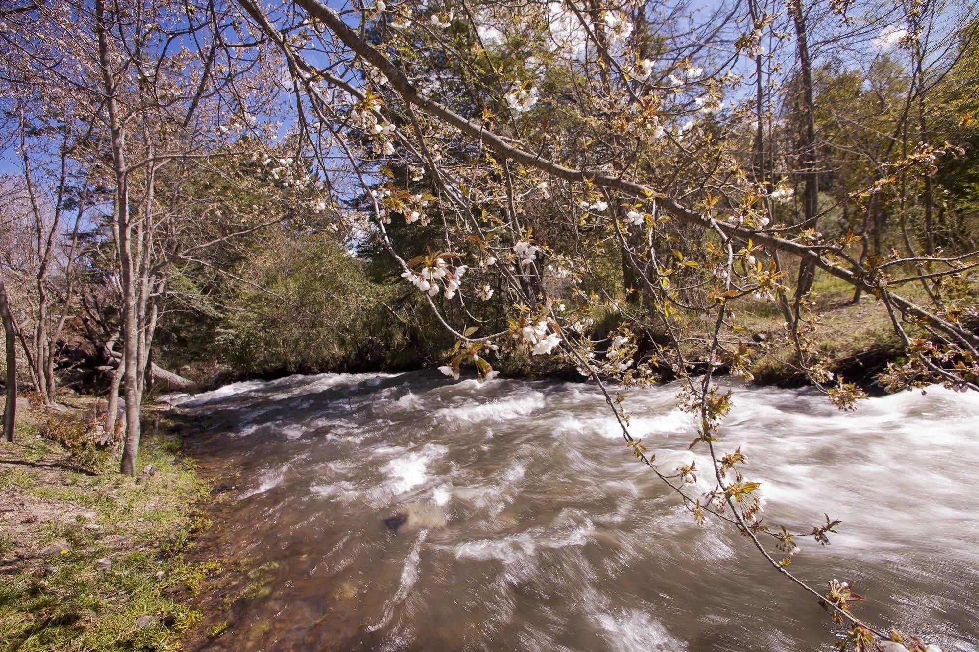 San Martín de los Andes Cabanas Rucaleufu מראה חיצוני תמונה