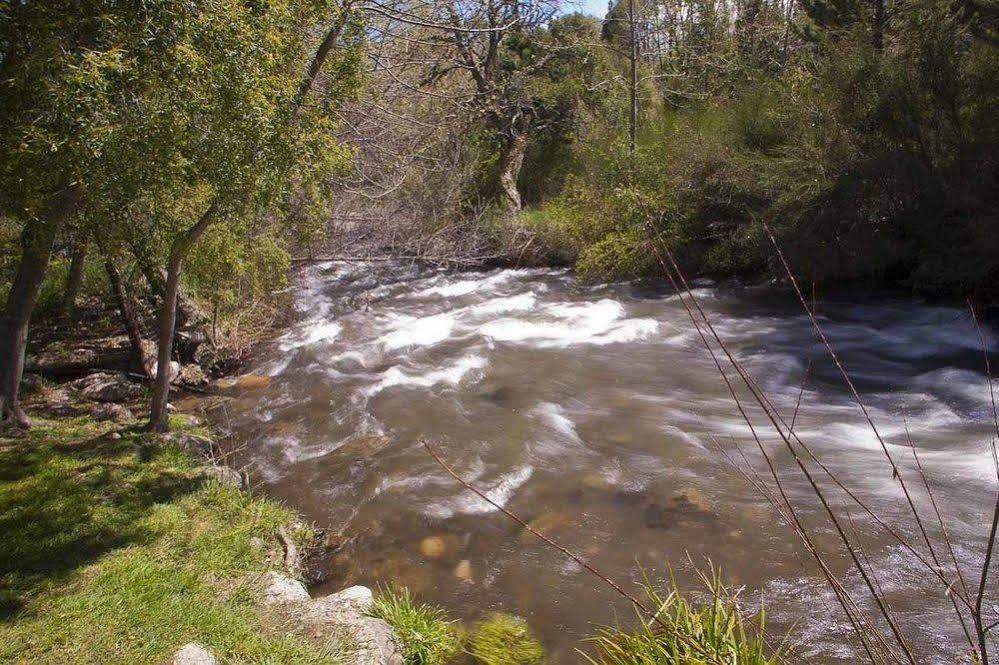 San Martín de los Andes Cabanas Rucaleufu מראה חיצוני תמונה
