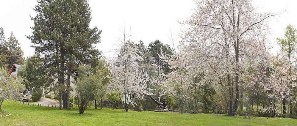 San Martín de los Andes Cabanas Rucaleufu מראה חיצוני תמונה